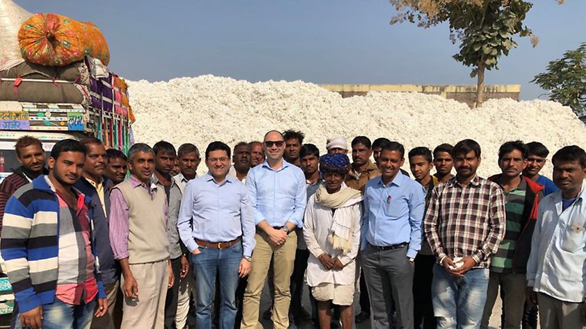 Cotton